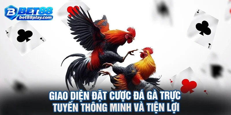 Giao diện đặt cược đá gà trực tuyến thông minh và tiện lợi
