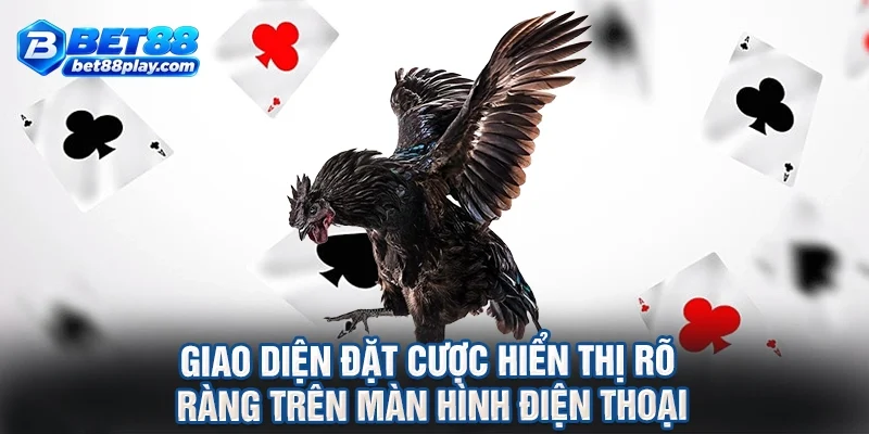 Giao diện đặt cược hiển thị rõ ràng trên màn hình điện thoại