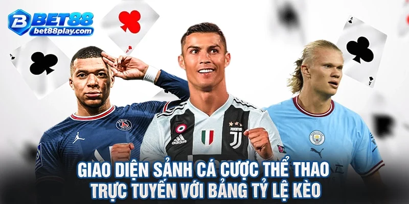 Giao diện sảnh cá cược thể thao trực tuyến với bảng tỷ lệ kèo.