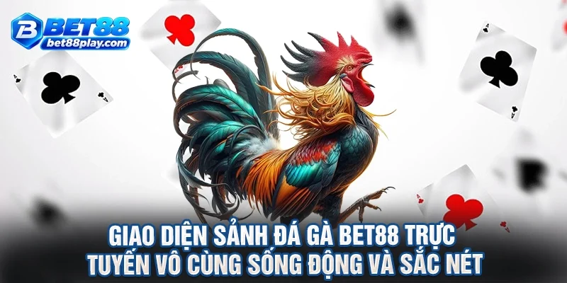 Giao diện sảnh đá gà BET88 trực tuyến vô cùng sống động và sắc nét
