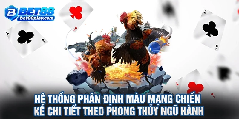 Hệ thống phân định màu mạng chiến kê chi tiết theo phong thủy ngũ hành